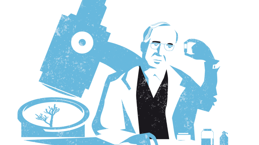 Medicinhistoria: Upptäckten av penicillin